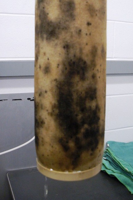 Microbial Growth in Diesel Fuel: Causes, Damage & Solutions