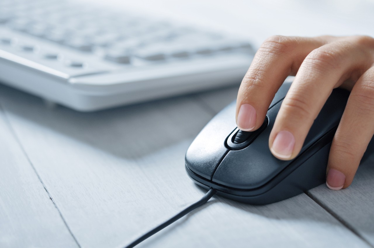 female hands using a computer on light background