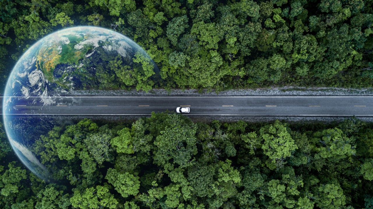 Eco-Car-Forest-World