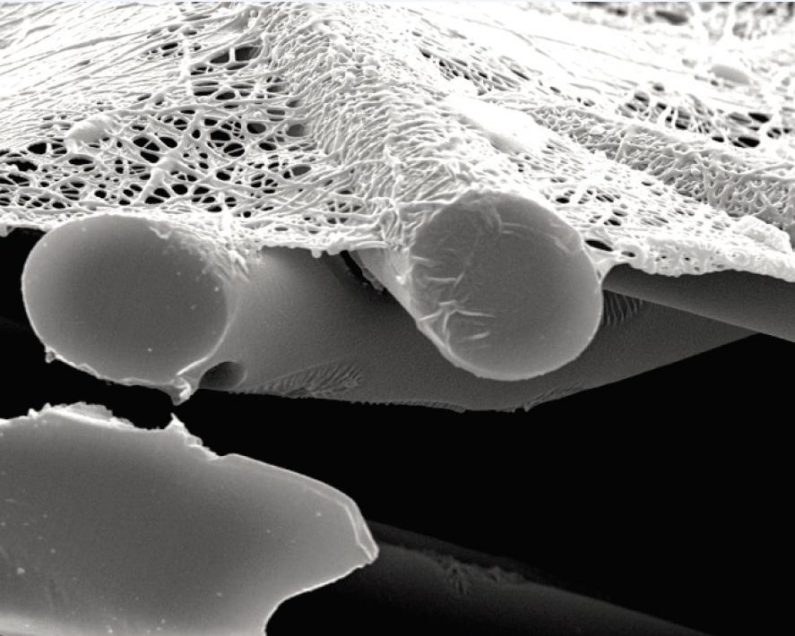 Abbildung 1. Sauberer Nanofaserschichtfilter