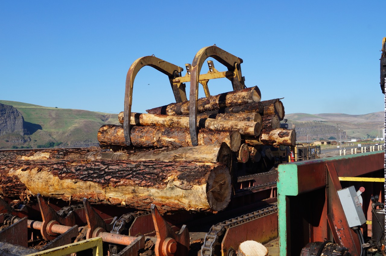 Log being loaded for wood processing