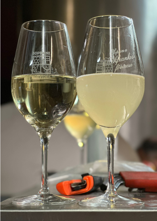 Filtered white and rose wine following the first 15 operation hours of Donaldson’s Crossflow Filtration System at Lővér Pince, Sopron.