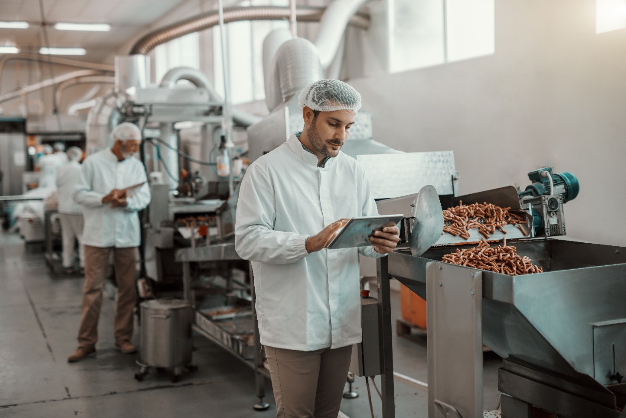 Young Caucasian serious supervisor evaluating quality of food in food plant while holding tablet. Man is dressed in white uniform and having hair net.