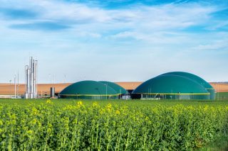 Biogas plant and farm in blooming rapeseed fields. Renewable energy from biomass. Aerial view to modern agriculture in Czech Republic and European Union. 