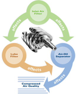 Figure 2: The filtration ecosystem depends on all three components for optimal performance.