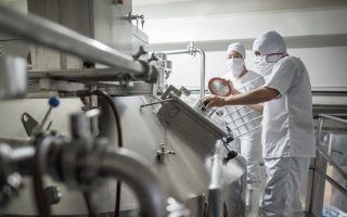 Stock Photography: Couple of people working at a dairy factory pasteurizing the milk - food proccessing concepts