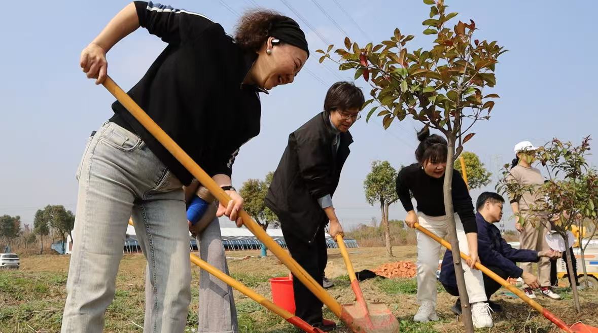 Les employés plantent un arbre.