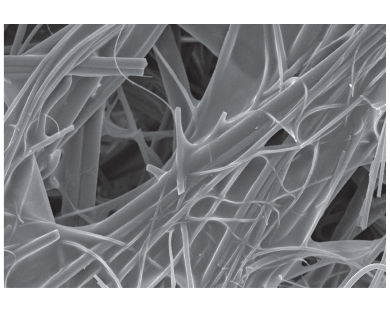  Figure 1 : L'image MEB d'un média filtrant en polyester/verre à 500 fois montre la résine "en nappe" entre les fibres. 