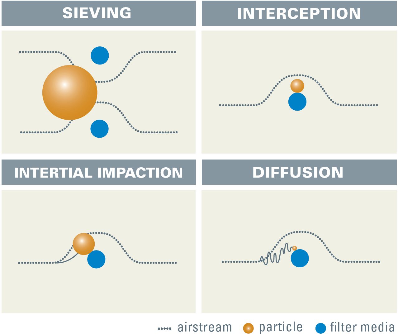 Figure 2 : mécanismes de filtration