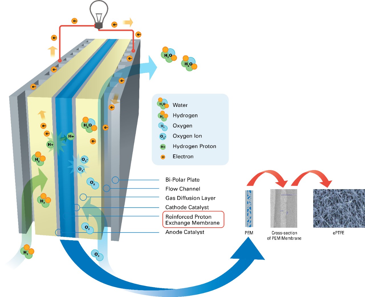 그림 4: MEA용 ePTFE 백본