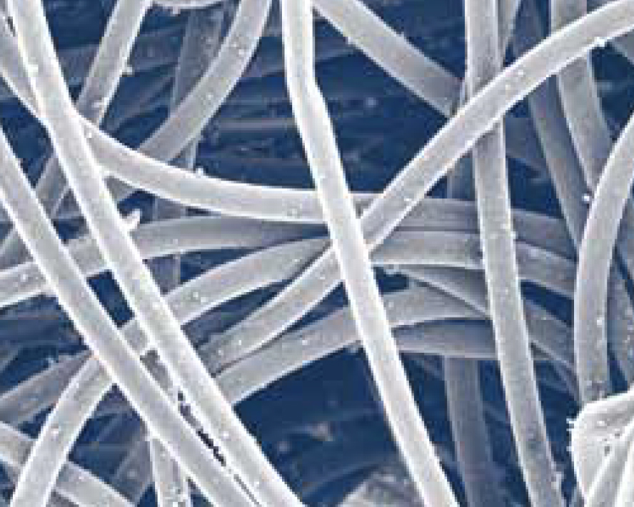 Dura-Life 백 청정 공기 쪽(300배)